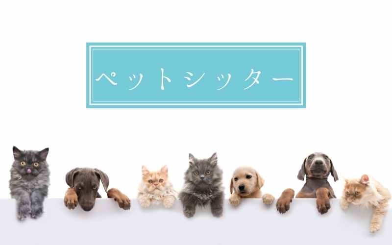 ペットシッター
